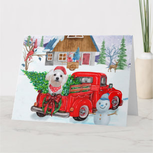 Carte Chien maltais dans un camion de livraison de Noël 