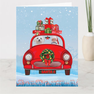 Carte Chien maltais dans une voiture avec le Père Noël 