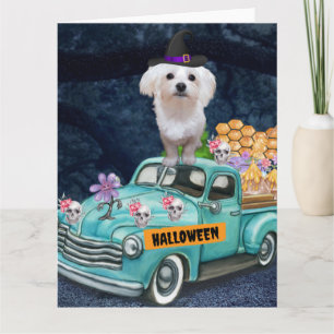 Carte Chien maltais Halloween camion nuit effrayante