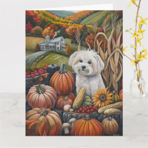 Carte Chien maltais Moisson d'automne Thankgiving