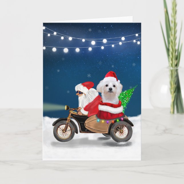 Carte Chien maltais Noël Père Noël (Devant)