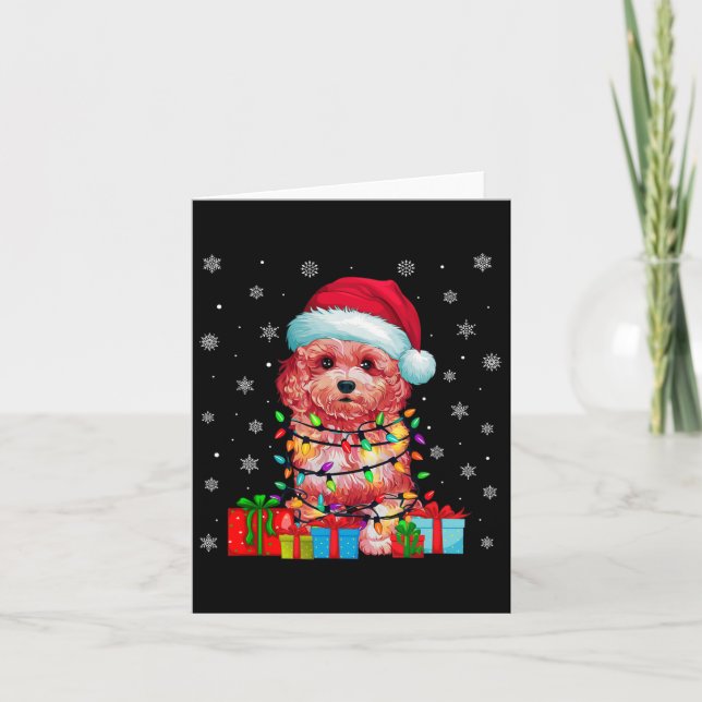 Carte Chien Maltipoo Xmas laid éclaire Père Noël Maltipo (Devant)