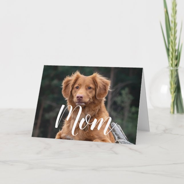 Carte Chien Maman Drôle Joyeux Anniversaire Mignonne Chi (Devant)