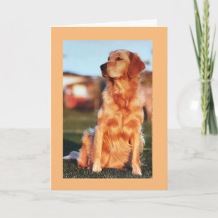 Carte Chien merveilleux Retriever doré champion