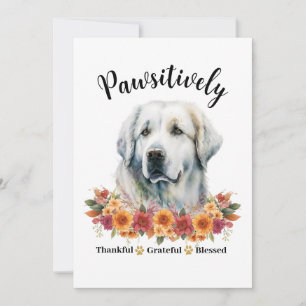 Carte Chien mignon absolument reconnaissant bénit