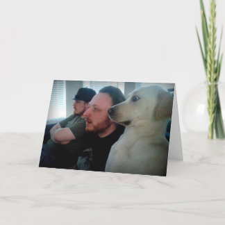 Carte Chien observant avec des amis