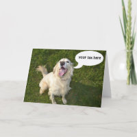 Chien parlant Templete