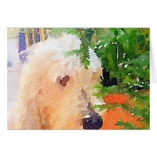 Carte chien Pastel
