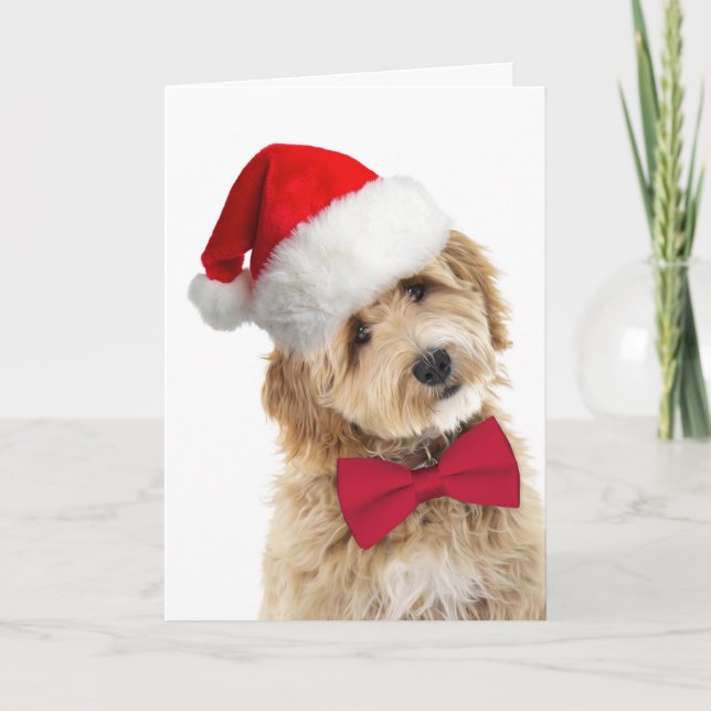 Carte Chien Père Noël Doodle (Devant)