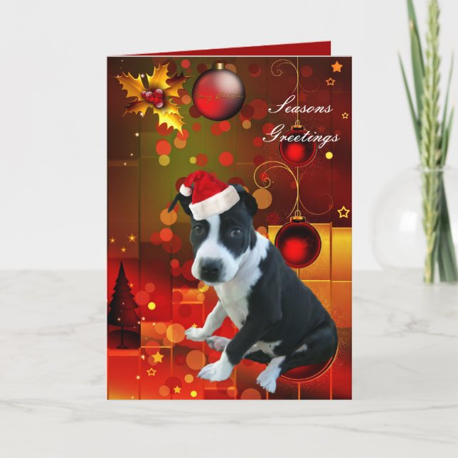Carte Chien Pitbull Puppy Noël (Devant)