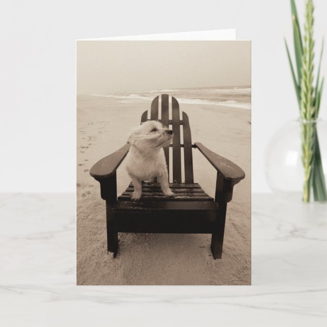 Carte Chien Profitant de la plage (Devant)