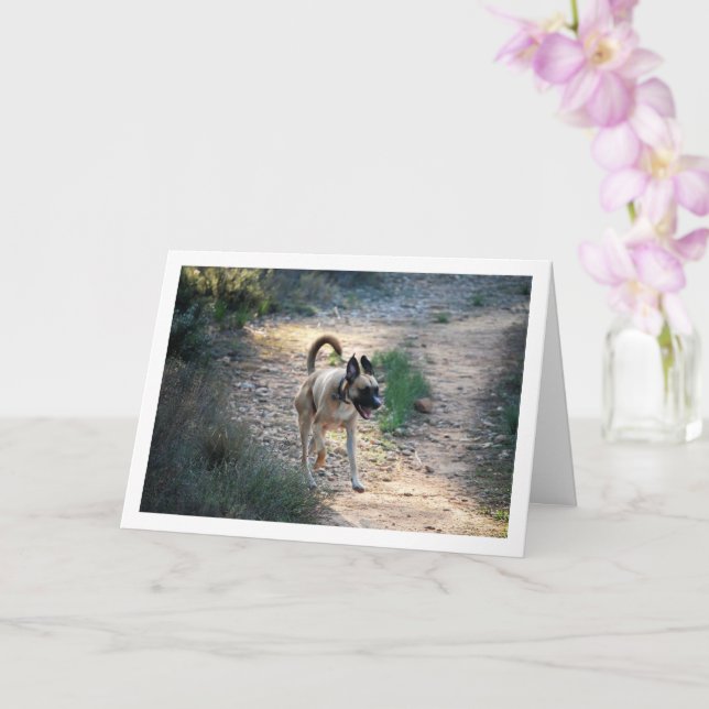 Carte Chien qui court et qui saute (Orchidée)