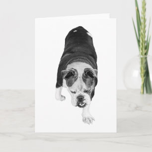 Carte Chien qui Marche envoie des voeux chaleureux de mo