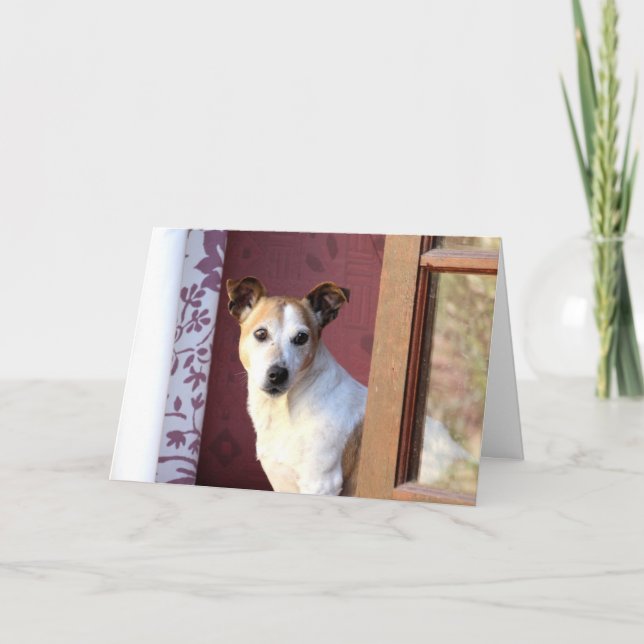 Carte Chien qui t'a manqué (Devant)