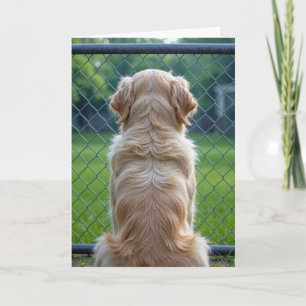 Carte Chien regardant à travers une clôture