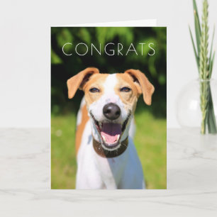 Carte Chien riant des images   de Getty