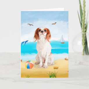 Carte Chien roi cavalier sur la plage