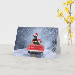 Carte Chien Rottweiler dans la neige assis dans un camio