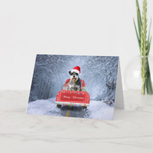 Carte Chien Schnauzer dans la neige assis dans un camion