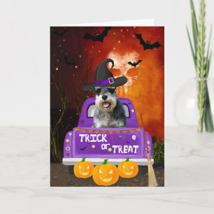 Carte Chien schnauzer dans un camion Halloween