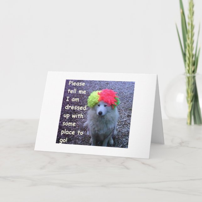 CARTE CHIEN S'EST HABILLÉ POUR CÉLÉBRER VOTRE "30E" B-JO (Devant)