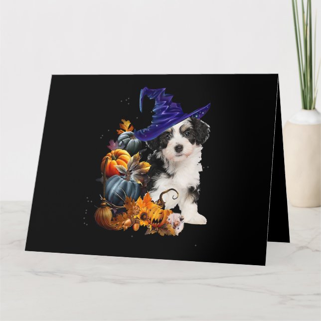 Carte Chien Shih Tzu Sorcière Et Citrouilles Halloween T (Devant)