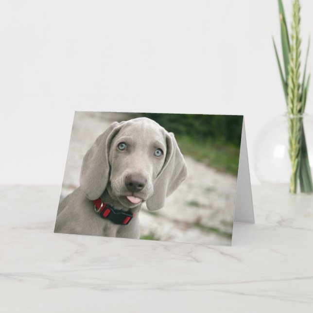 Carte Chien sortant la langue (Devant)