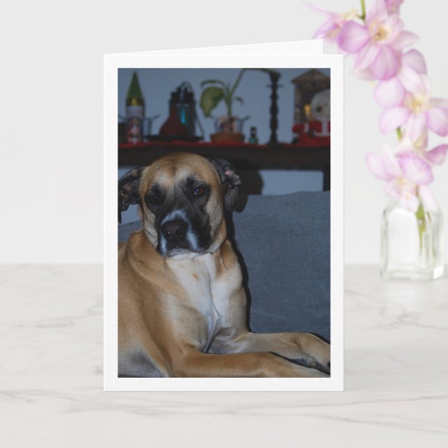 Carte Chien sur Sofa Portrait (Orchidée)