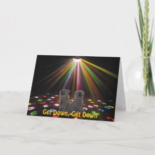 Carte chiens à disco