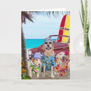 Carte Chiens amusants Hawaiian/Surfer Anniversaire