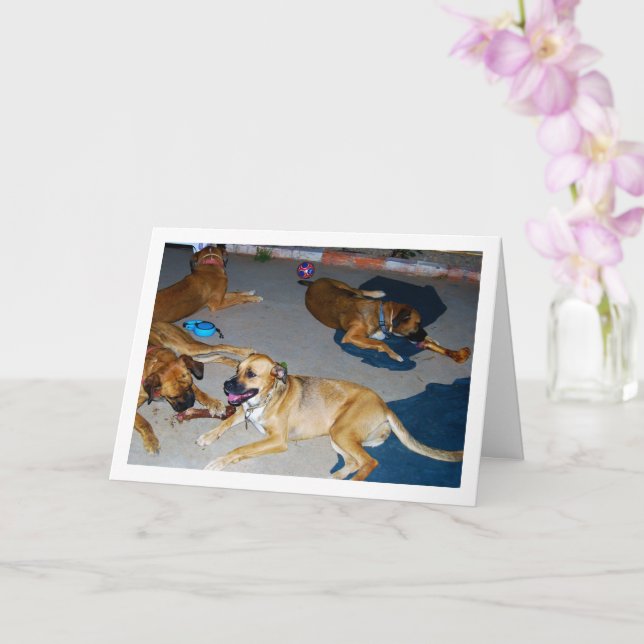 Carte Chiens avec os et serviettes (Orchidée)