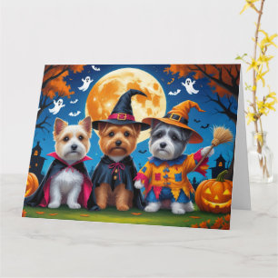 Carte Chiens Cairn Terrier Citrouille Halloween Drôle