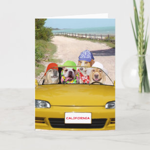 Cadeaux Joyeux Anniversaire Hawaien Zazzle Fr