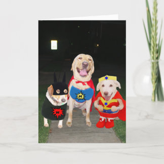 Carte Chiens/carte superbes drôles personnalisables