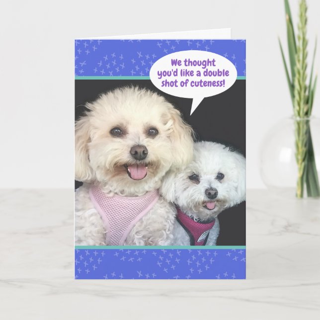 Carte Chiens De Cute Poochon - Double Tir De Cutesse (Devant)