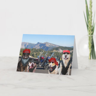 Carte Chiens de motards amusants à l'anniversaire d'une