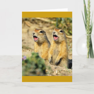 Carte Chiens de prairie de chant