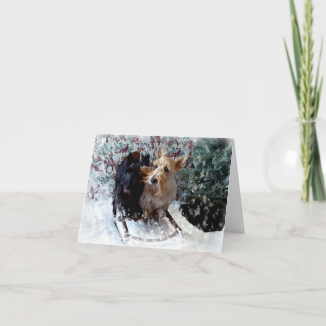 Carte Chiens de Traîneau (Devant)