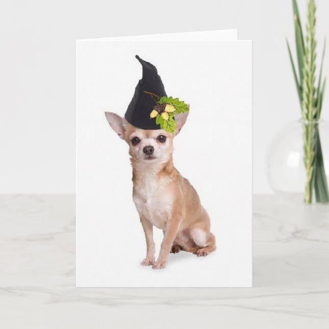 Carte Chiens Ditzy~Carte de voeux originale~Chihuahua (Devant)