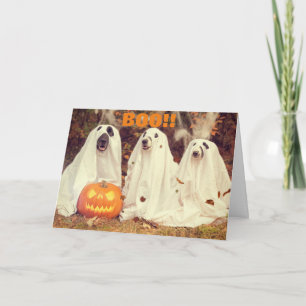 CARTE CHIENS HEUREUX HALLOWEEN