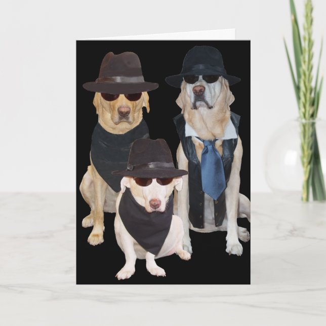 Carte Chiens/laboratoires amusants sur la colline Annive (Devant)