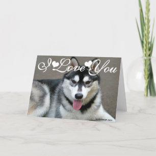 Carte Chiens Malamute d'Alaska Je T'Aime