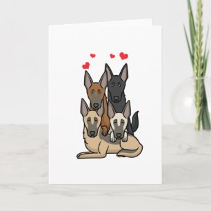 Carte Chiens malinois