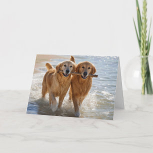 Carte Chiens Retrievers dorés d'anniversaire portant un