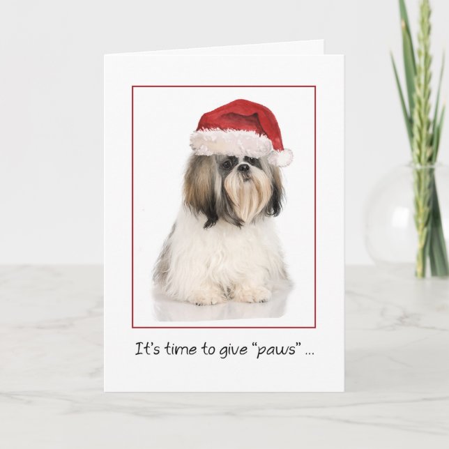 Carte Chih Tzu Chien avec Funny Santa Hat Noël (Devant)