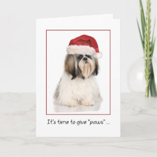 Carte Chih Tzu Chien avec Funny Santa Hat Noël