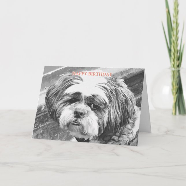 CARTE CHIH TZU DOG (Devant)