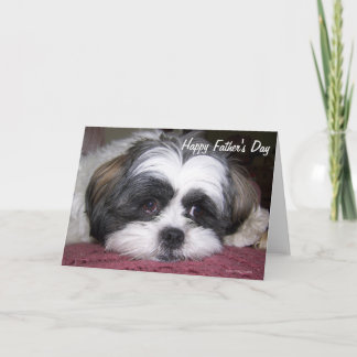 Carte Chih Tzu Fête des pères de chien