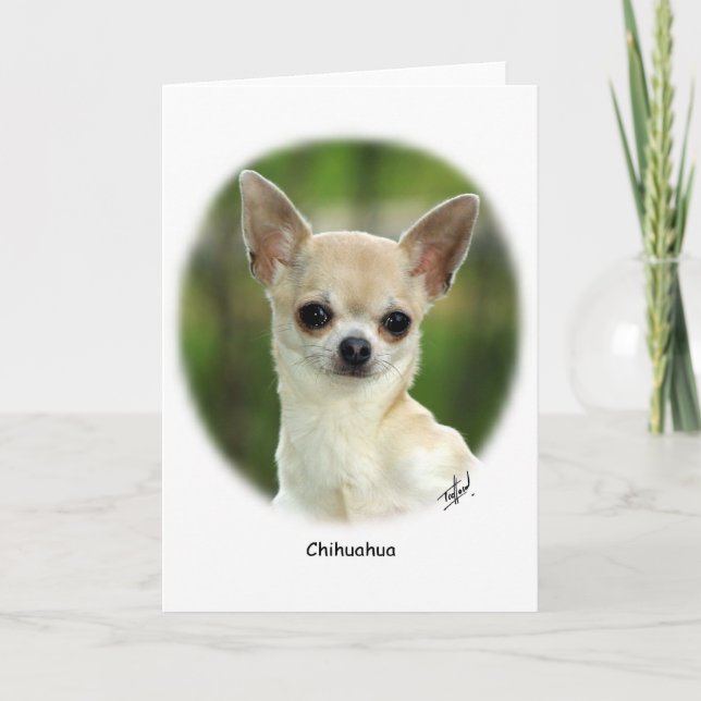 Carte Chihuahua 9P93D-123 (Devant)