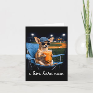 Carte Chihuahua boit du café glacé terrain de baseball e